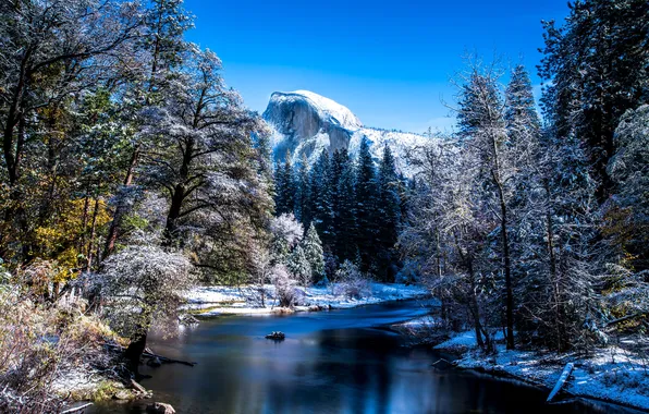 Picture winter, forest, the sky, snow, trees, landscape, mountains, nature