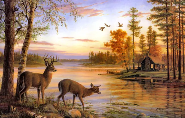 Picture river, nature, painting, deer, Mary Pettis, birch, Quiet Evening