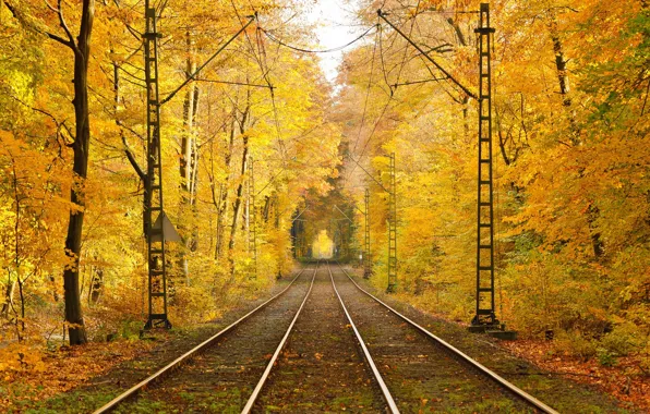 Picture autumn, leaves, trees, rails