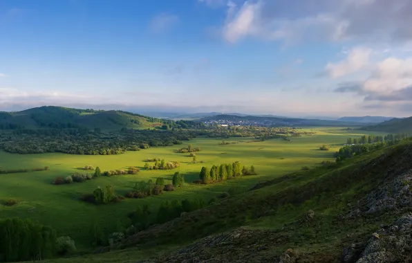 Field, summer, grass, clouds, light, trees, landscape, mountains