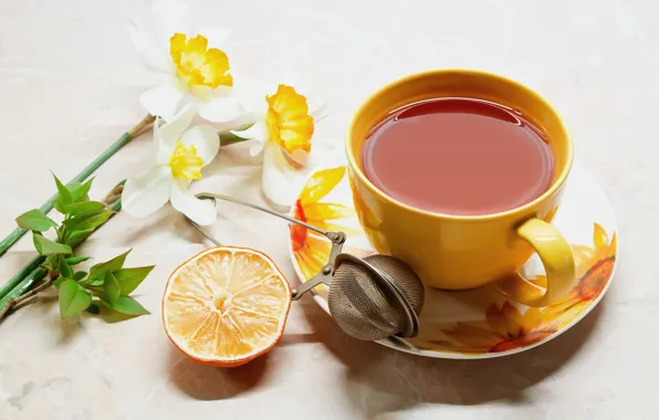 Picture flowers, table, tea, orange, Cup, drink, mesh, saucer