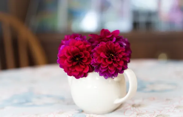 Flowers, table, bouquet, mug, Cup, white, light background, raspberry