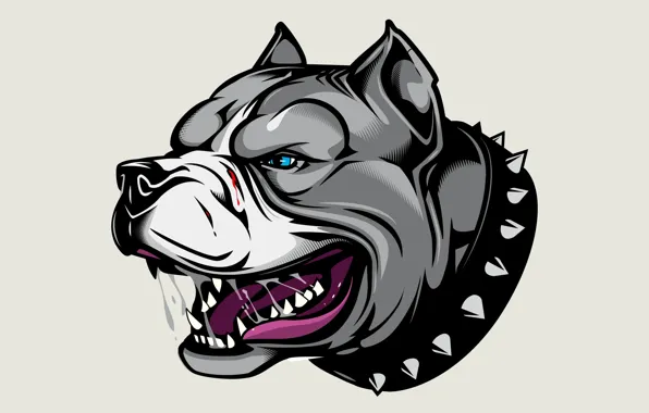 Picture art, Pitbull, avatar, Pit bull, dog collar with spikes, angry dog, the dog