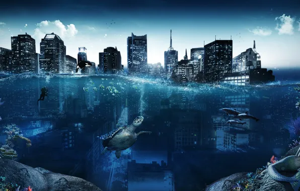 The city, creative, building, mermaid, diver, turtle, corals, dolphins