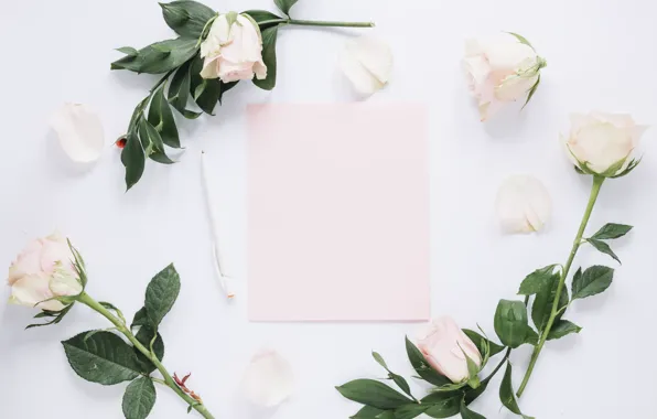 Flowers, paper, handle, white, buds, Roses, decor, Leaves