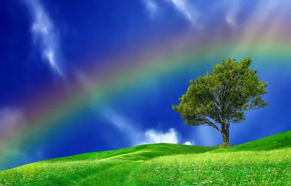 Summer, trees, hills, rainbow