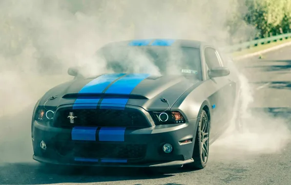Smoke, Mustang, burnout
