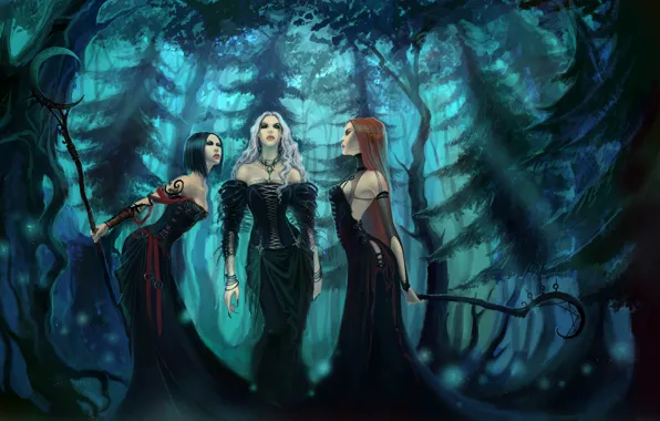 Forest, three, Witches, Witches