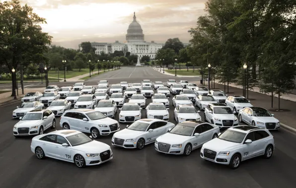 Audi, park, washington, semeistvo