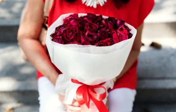 Roses, bouquet, bow