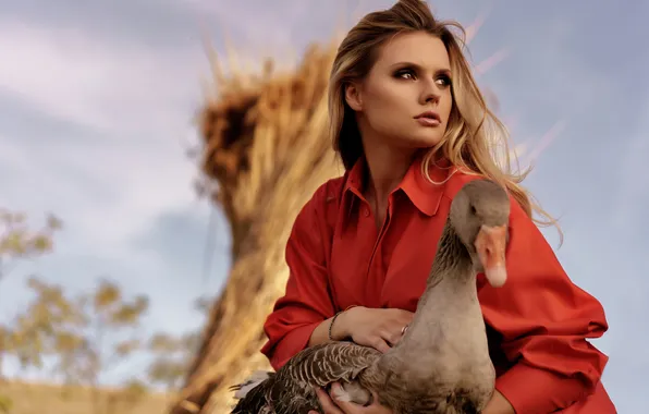 Girl, bird, blonde, goose