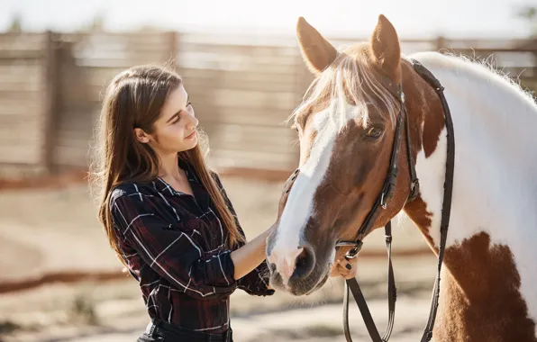 Look, girl, light, pose, horse, horse, the fence, shirt