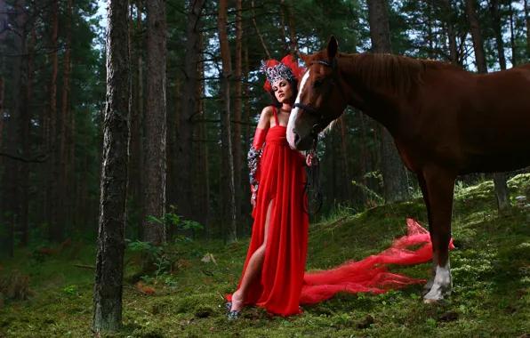 Forest, look, girl, nature, horse, horse, red dress, in red