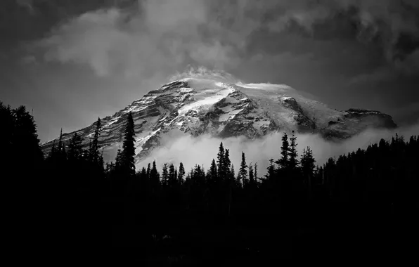 Picture clouds, snow, trees, mountains, nature, fog, rocks, black and white