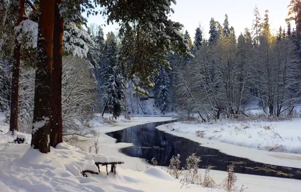 Winter, forest, river