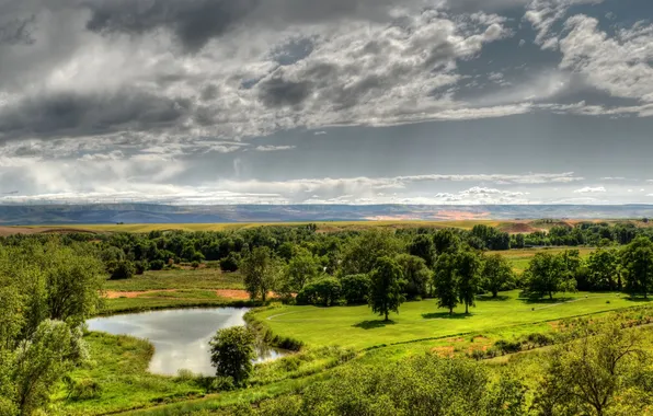 Picture field, forest, the sky, grass, clouds, trees, landscape, nature