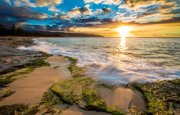 Picture sea, tropics, dawn, coast, Hawaii, USA