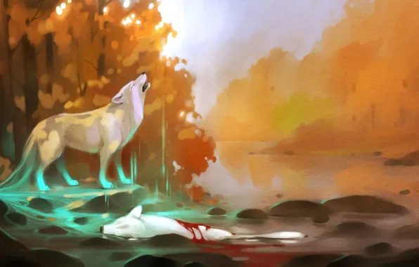 Picture forest, water, trees, river, death, stones, blood, wolf