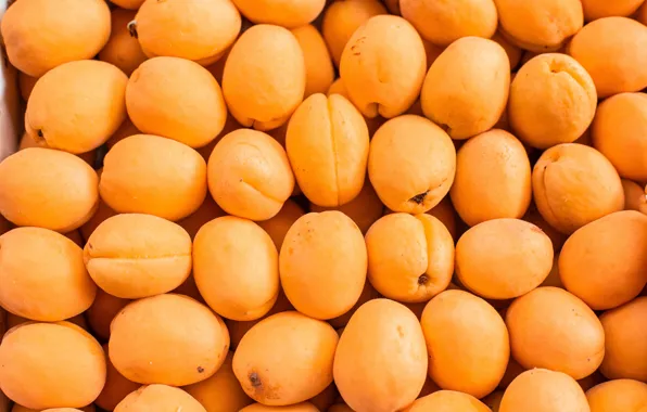 Harvest, a lot, apricots, ripe