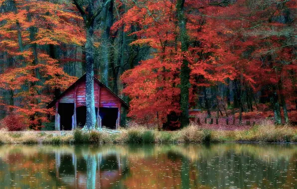 Picture autumn, forest, trees, lake, reflection, mirror, cabin