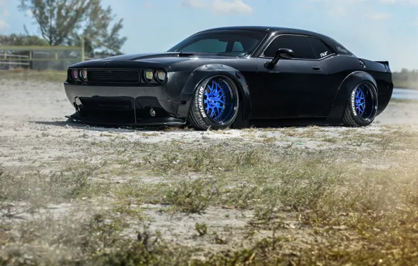 Picture Dodge, Strasse, Black, Wheels, SRT, Challenger