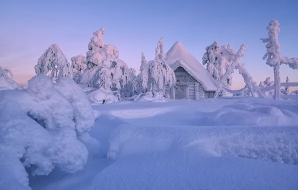 Winter, snow, trees, hut, the snow, house, hut, Finland
