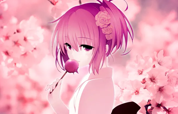Girls, Sakura, kimono, pink hair, cherry blossoms, Wallpaper anime, candy on the Desk
