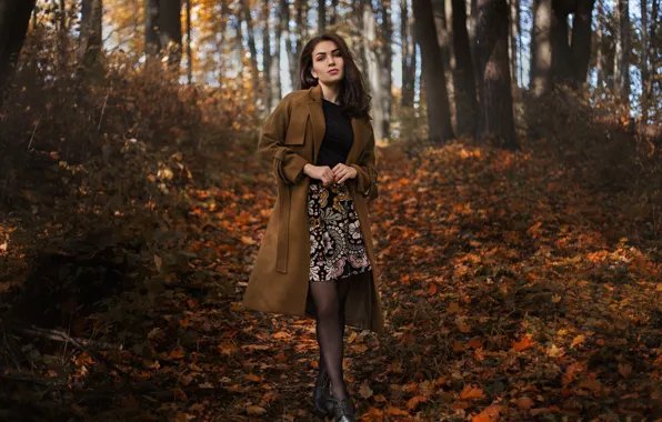 Picture in the woods, Ilya Baranov, Olesya Makarova