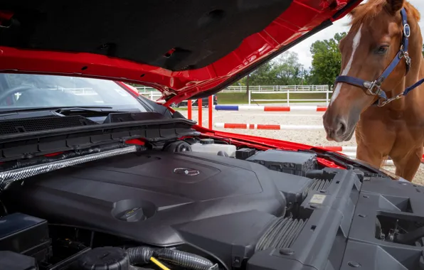 Mercedes-Benz, pickup, 2018, under the hood, X-Class