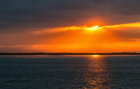 Picture sea, the sky, sunset, Netherlands