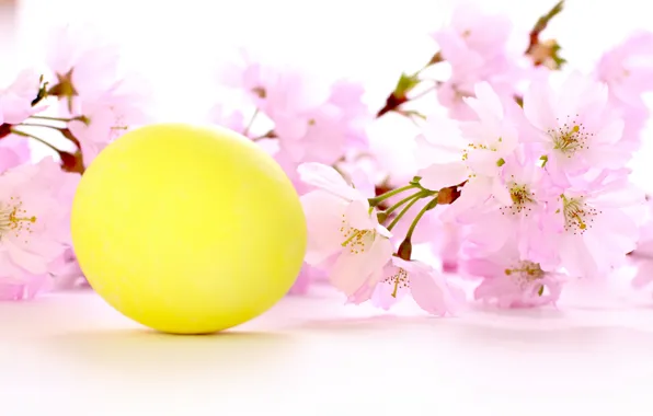 Flowers, holiday, Easter, cherry sprig, yellow egg