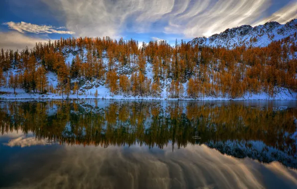 The sky, water, clouds, reflection, trees, nature, lake, river