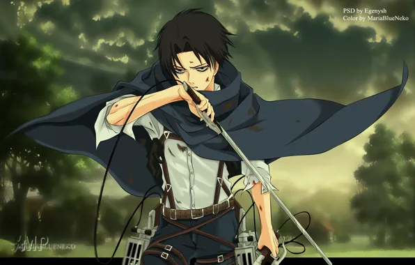 Art, guy, Shingeki No Kyojin, Attack of the titans, Levi Ackerman