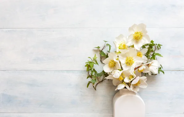 Flowers, bouquet, vase, white, hellebore