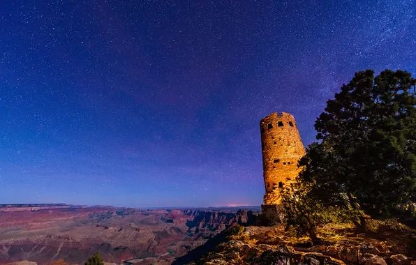 Picture the sky, stars, mountains, tree, rocks, tower, the ruins, Grand Canyon National Park