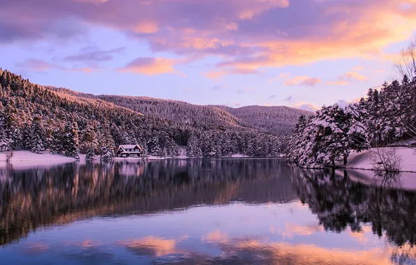 Winter, forest, lake, dawn, home