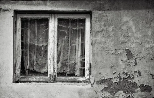 House, wall, window, naturalism