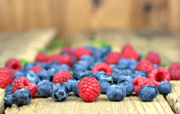 Picture berries, raspberry, blueberries, fresh, wood, blueberry, blueberries, berries