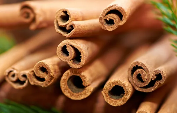 Picture macro, sticks, cinnamon, spice