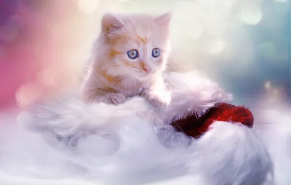 Baby, red, Christmas, New year, kitty, cap