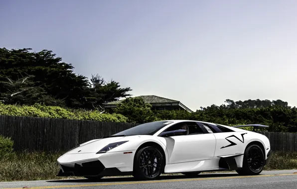 Picture road, white, the sky, trees, the fence, white, lamborghini, front view