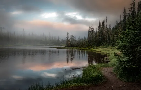 Picture forest, the sky, trees, landscape, clouds, nature, lake, rain