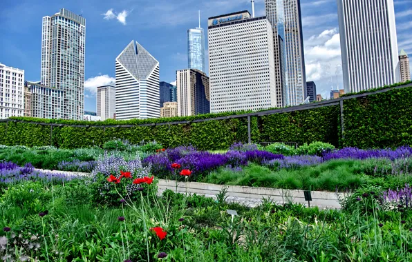 Picture home, Chicago, USA, skyscrapers