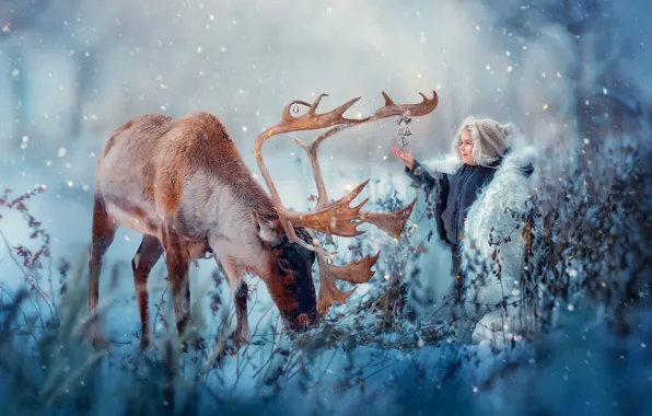 Picture winter, snow, joy, nature, animal, boy, deer, bells