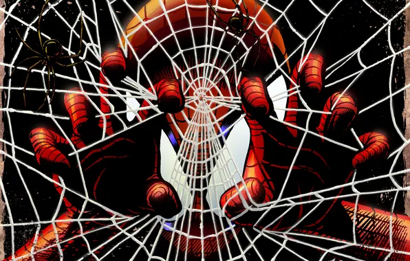 Web, mask, art, costume, spider-man, Spider man