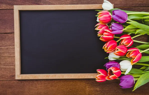 Flowers, bouquet, colorful, tulips, red, Board, white, wood