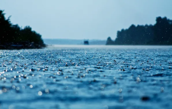 Drops, macro, rain