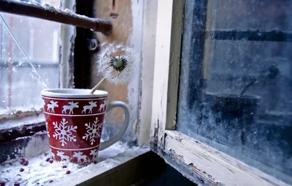 Picture dandelion, window, Cup