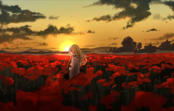 Girl, sunset, meadow, Angel bloodshed, Satsuriku no Tenshi