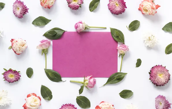Flowers, background, roses, pink, buds, pink, flowers, background